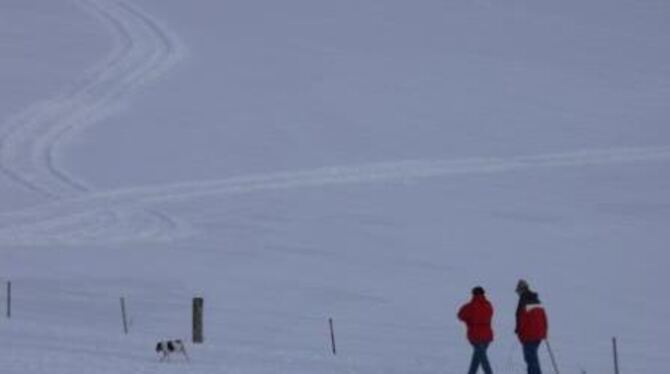 Unterwegs im Schnee: Teilnehmer der Upfinger Wandertage. 	FOTO: GÄRTNER