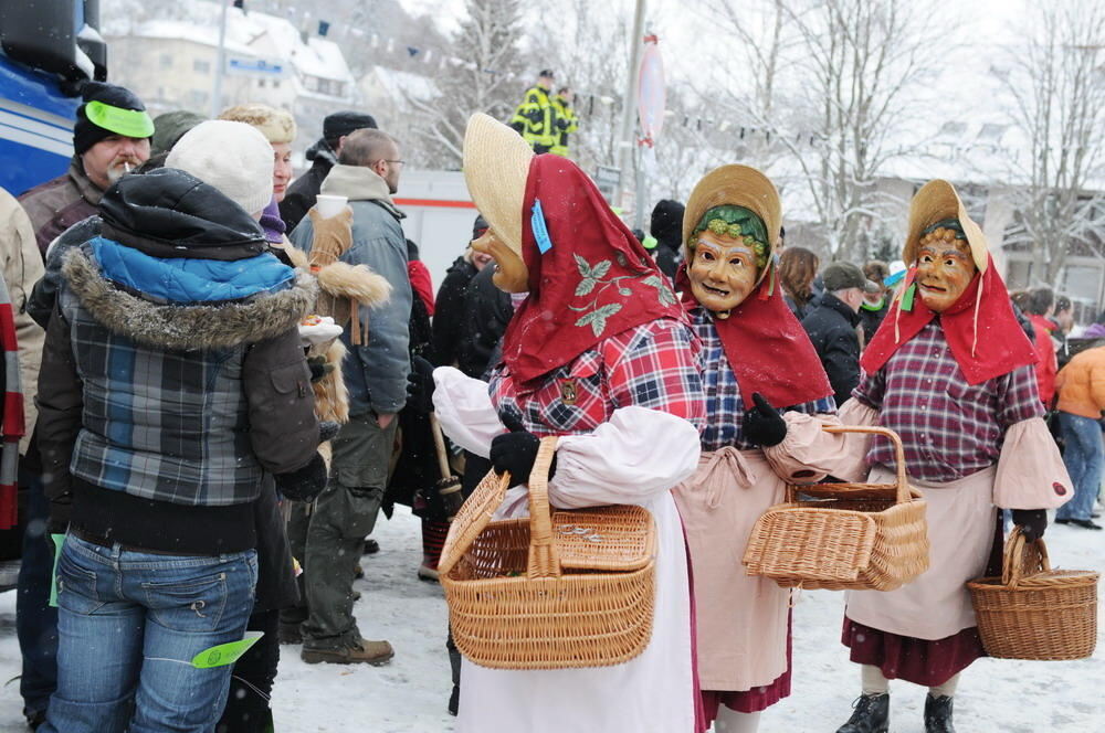 Jubiläumsumzug Narrenzunft Krautscheißer 2010