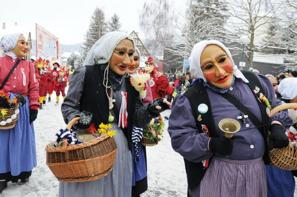 Jubiläumsumzug Narrenzunft Krautscheißer 2010