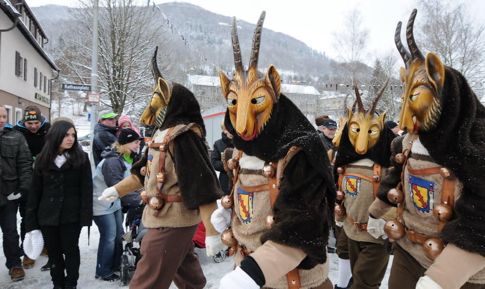 Jubiläumsumzug Narrenzunft Krautscheißer 2010