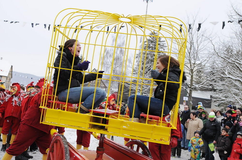 Jubiläumsumzug Narrenzunft Krautscheißer 2010