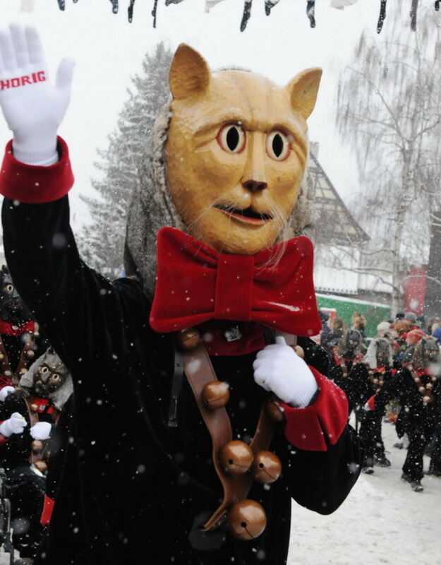 Jubiläumsumzug Narrenzunft Krautscheißer 2010