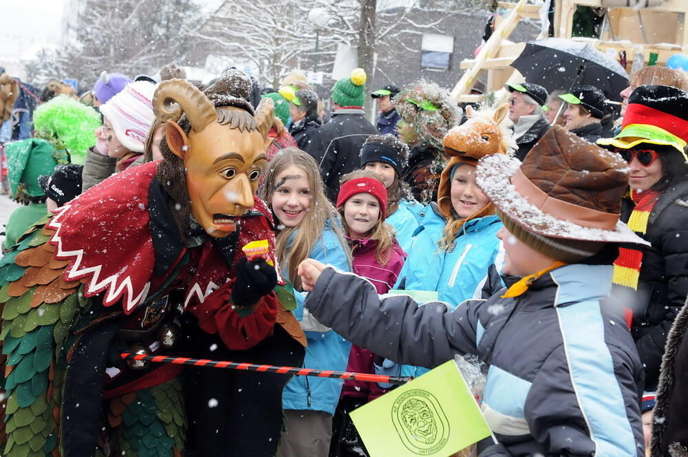 Jubiläumsumzug Narrenzunft Krautscheißer 2010