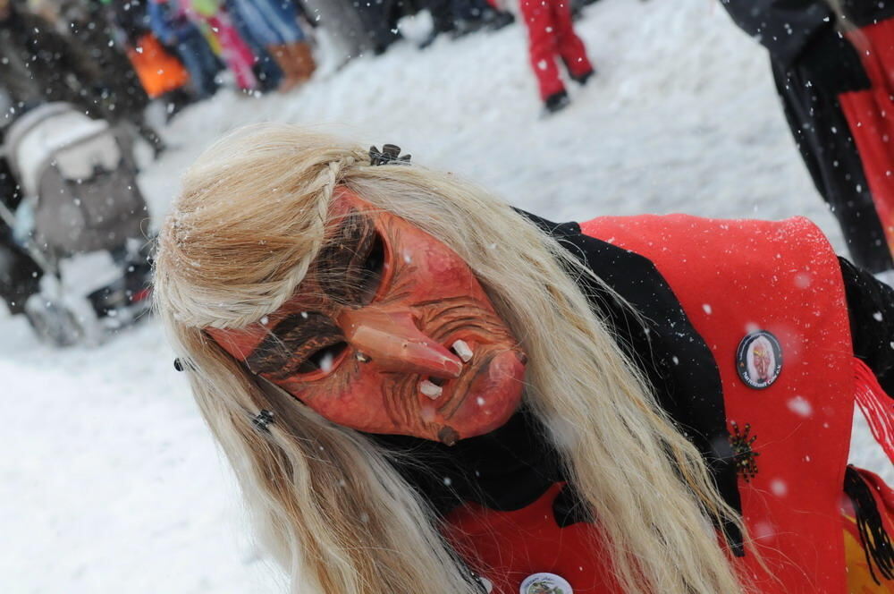 Jubiläumsumzug Narrenzunft Krautscheißer 2010