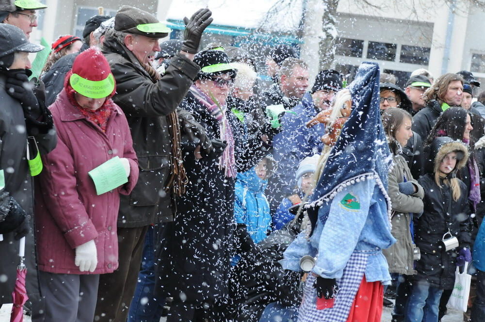 Jubiläumsumzug Narrenzunft Krautscheißer 2010