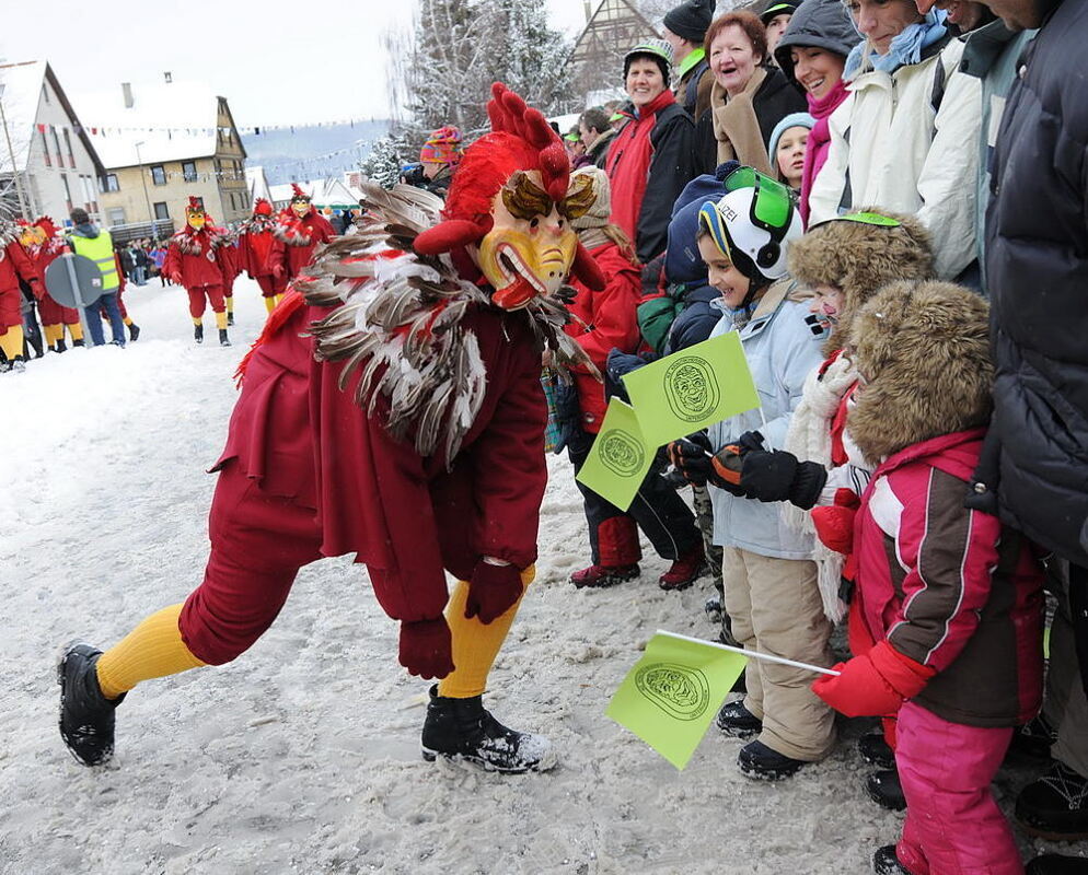 Jubiläumsumzug Narrenzunft Krautscheißer 2010