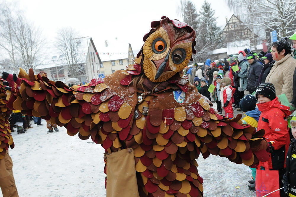 Jubiläumsumzug Narrenzunft Krautscheißer 2010