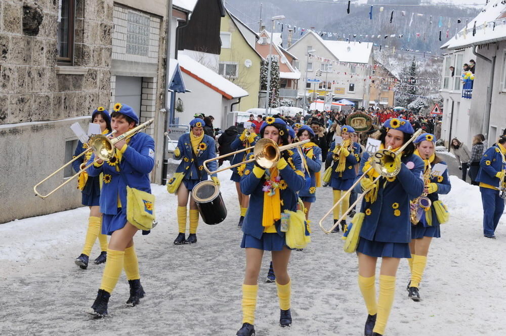 Jubiläumsumzug Narrenzunft Krautscheißer 2010