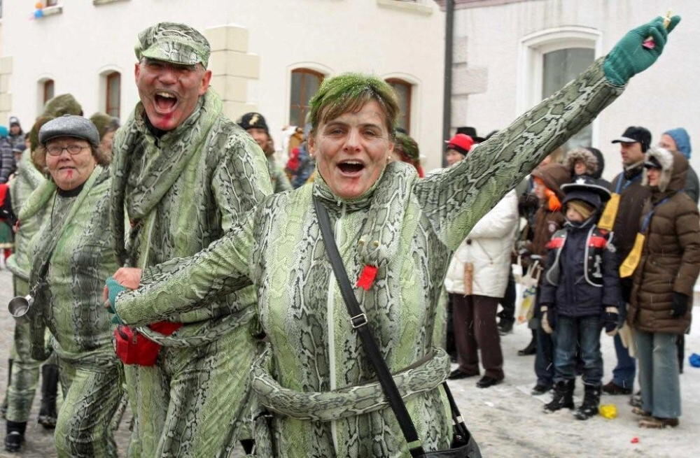 Jubiläumsumzug Narrenverein Wilsingen 2010