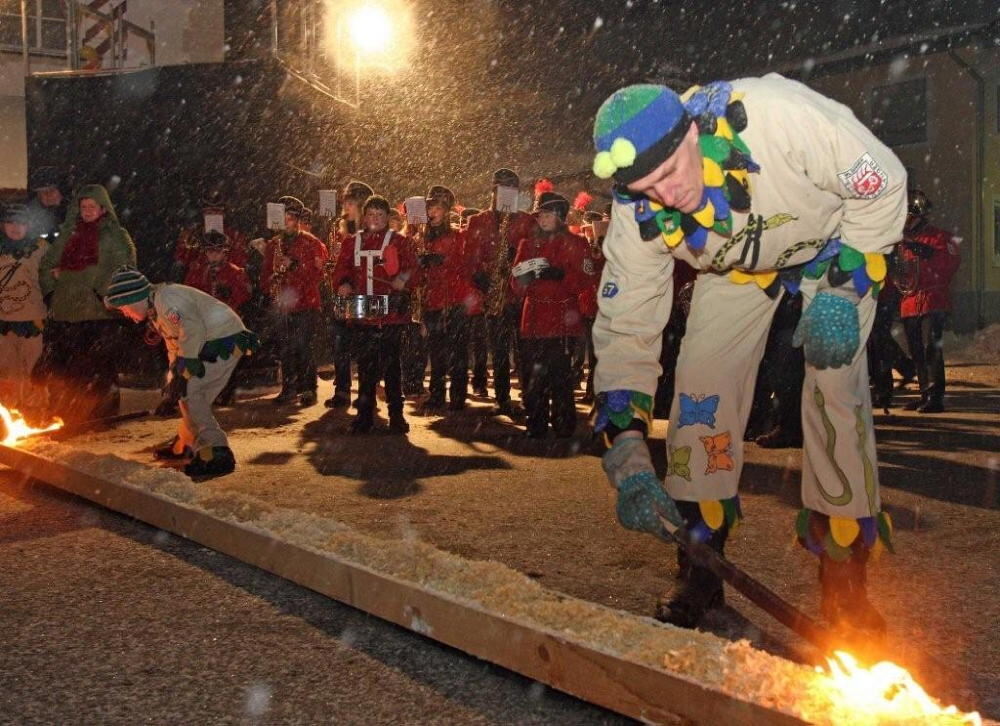 Jubiläumsumzug Narrenverein Wilsingen 2010