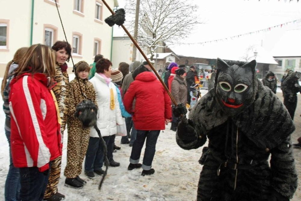 Jubiläumsumzug Narrenverein Wilsingen 2010