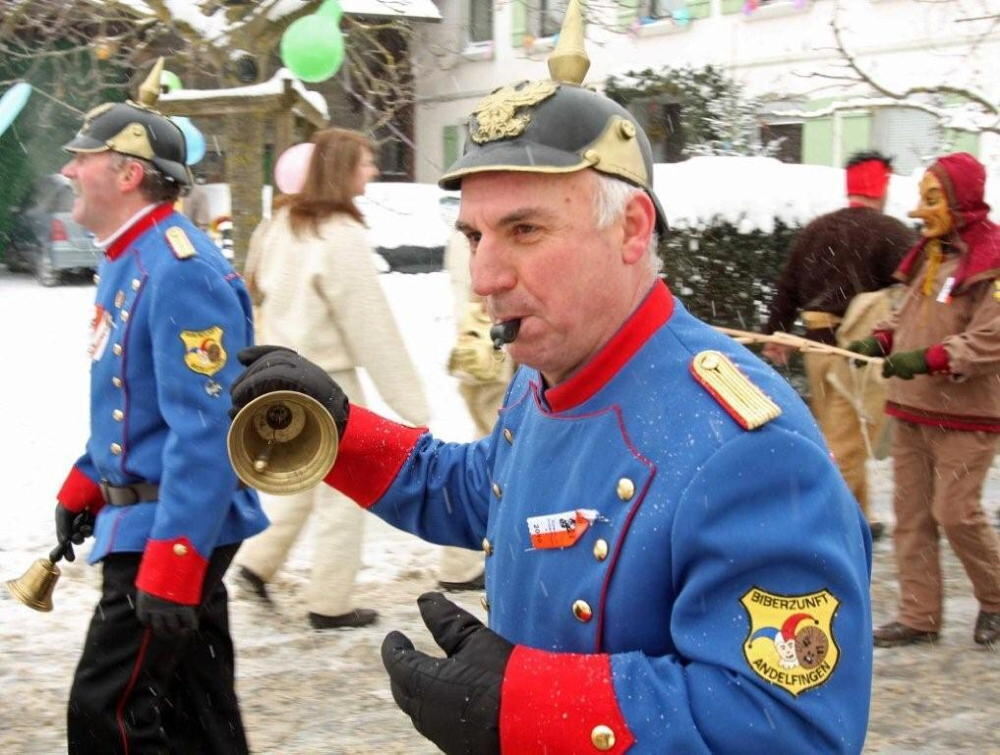 Jubiläumsumzug Narrenverein Wilsingen 2010