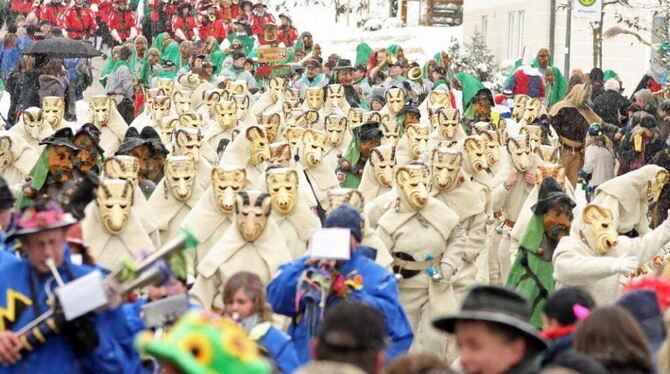 Jubiläumsumzug Narrenverein Wilsingen 2010