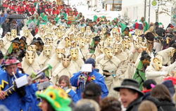 Jubiläumsumzug Narrenverein Wilsingen 2010