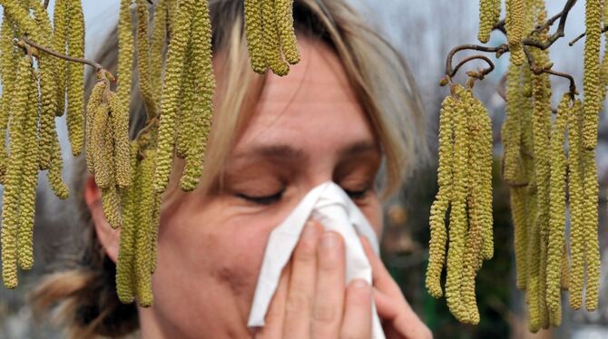 Pollen verursachen bei vielen Menschen tränende Augen und verstopfte Nasen. Foto: dpa