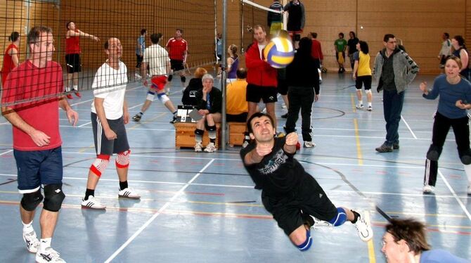 Voller Einsatz: Die Freizeit-Volleyball-Teams kämpften gestern beim Turnier in der Hohensteinhalle mit Eifer um Punkte. FOTO: LP