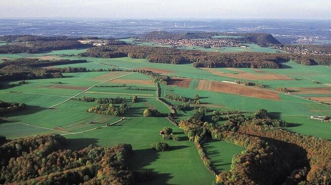 Die Investition in regionale Werte zahlt sich in Form intakter artenreicher Lebensräume im Biosphärengebiet aus. FOTO: KÜNKELE