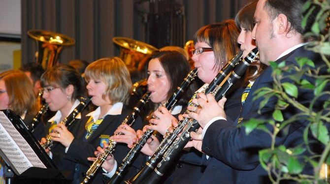 Schöne Melodien, gekonnter Ensemble-Klang in Ofterdingen.  FOTO: EBER