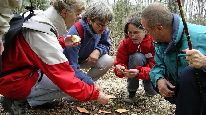 Mit viel Sachkenntnis informieren die Alb-Guides auf ihren Touren über Flora, Fauna und Geologie der Alb. GEA-ARCHIVFOTO