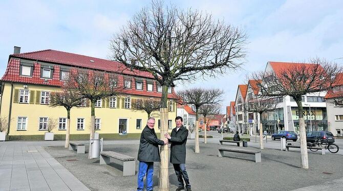 Die Linden rücken näher zusammen: Der Leiter des Bauamtes, Konrad Berger, und Wolfgang Bauer von der Holy AG. GEA-FOTO: PACHER