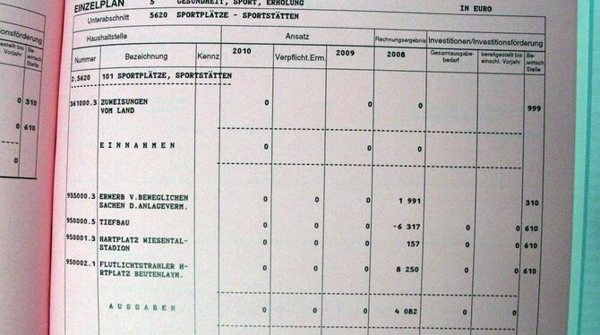 Die »Nulllösung« für Investitionen gilt im Münsinger Haushalt 2010 nicht nur im Bereich Sport als ideal.  GEA-FOTO: GEIGER