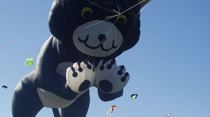 Nicht nur eine Riesenkatze lässt staunen: Die vierte Auflage des Drachenfests in Graben-stetten bietet viele Attraktionen.  FOTO