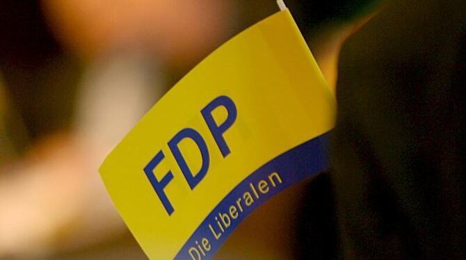 Die FDP will spätestens 2012 die Steuern um 16 Milliarden Euro senken.