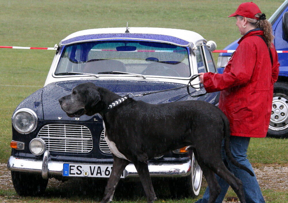 alb_oldtimertreffen_dottingen_2010_36 (JPG)