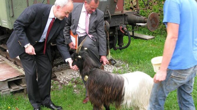 Da gab's nichts zu meckern für Landrat Thomas Reumann (links) und Bürgermeister Helmut Knorr. Sowohl die Ziege Bettina wie auch