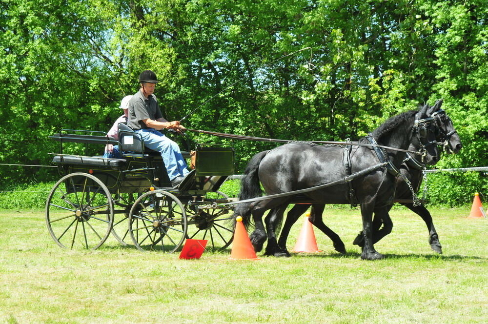 nehren_country_festival_20102 (JPG)