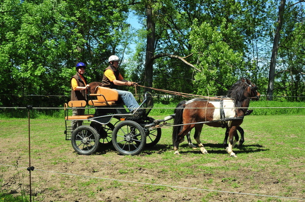 nehren_country_festival_20106 (JPG)