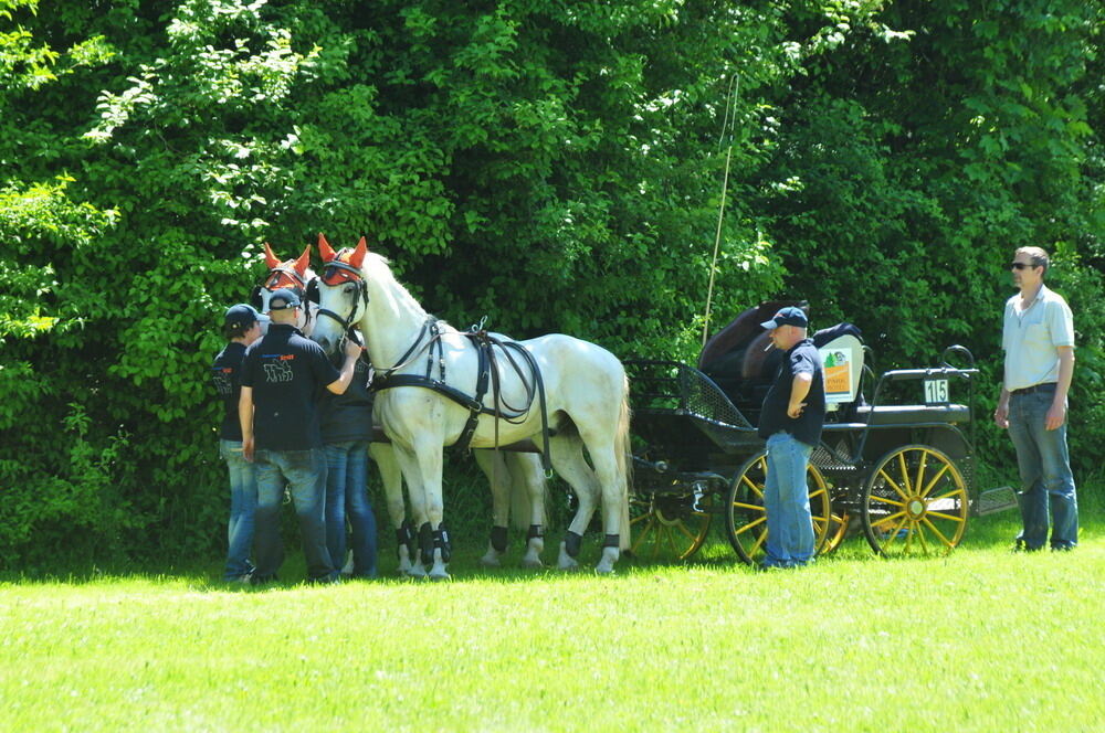 nehren_country_festival_20109 (JPG)