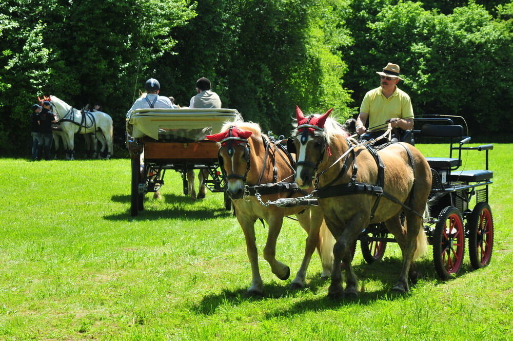 nehren_country_festival_20107 (JPG)