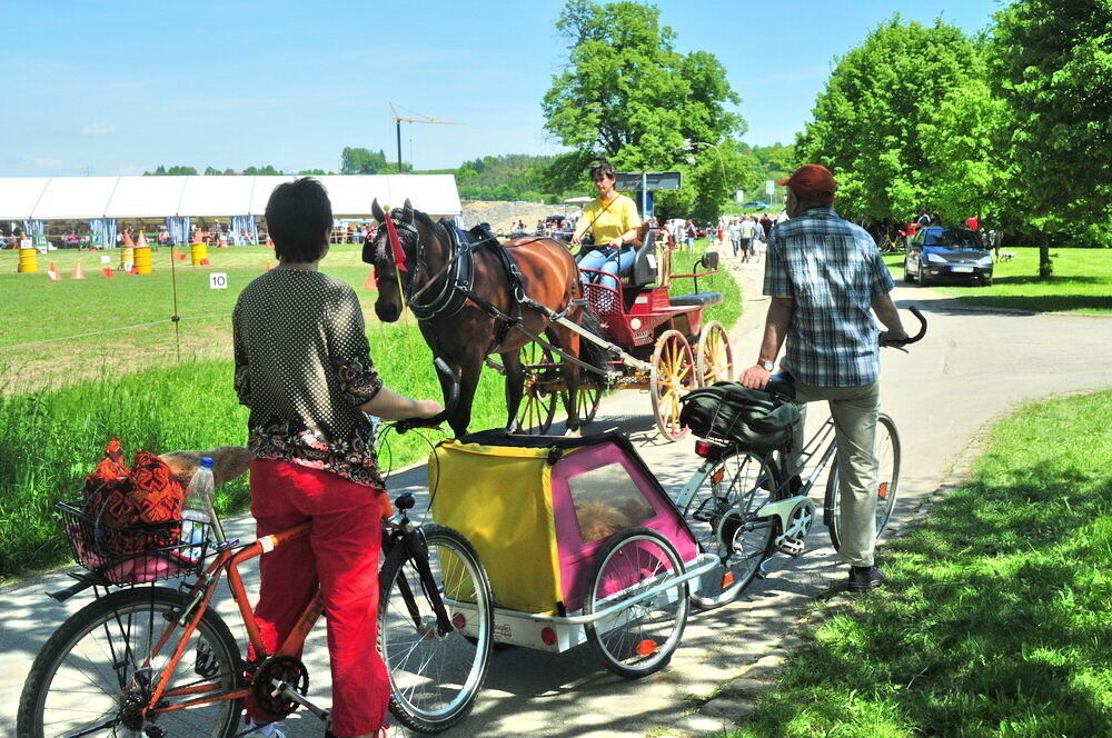 nehren_country_festival_20105 (jpg)