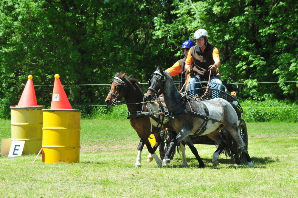 nehren_country_festival_201010 (JPG)