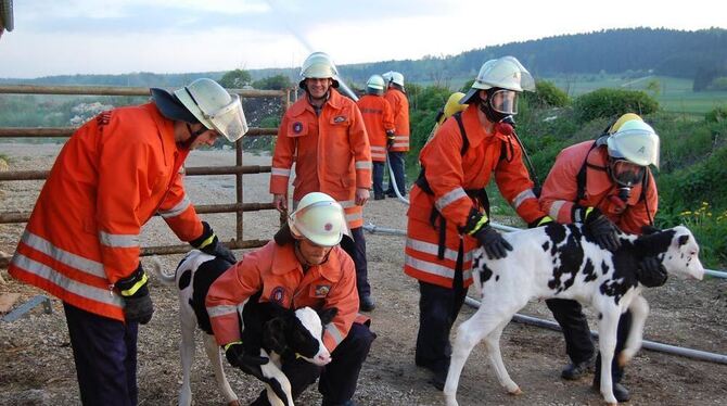 Die Übung auf dem Bauernhof bringt ungewohnte Herausforderungen für die Feuerwehrleute mit. FOTO: HÄUSSLER