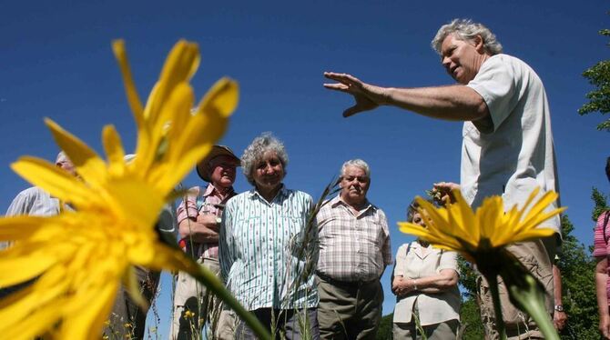 Der Botaniker Wolfgang Herter erläuterte  Interessierten die Vielfalt der blühenden Wiesen auf der Alb. FOTO: DÜRR