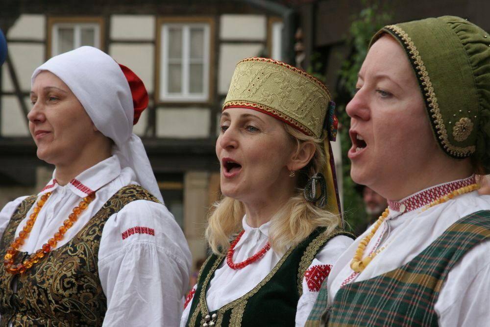 Landesfest Schwäbischer Albverein 2010