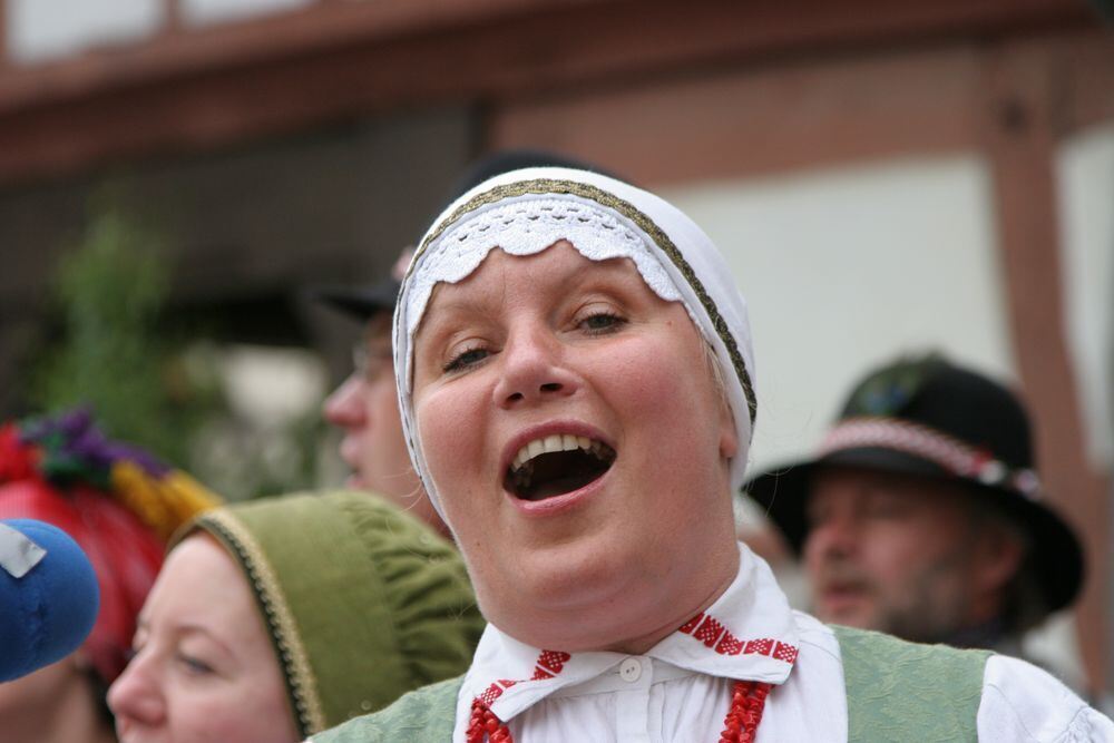 Landesfest Schwäbischer Albverein 2010