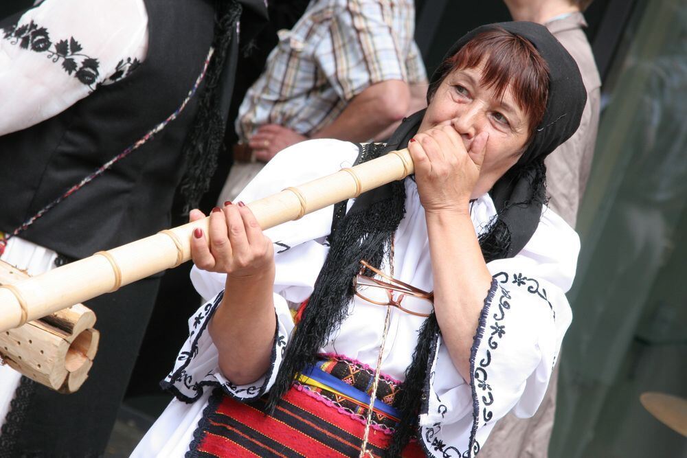 Landesfest Schwäbischer Albverein 2010