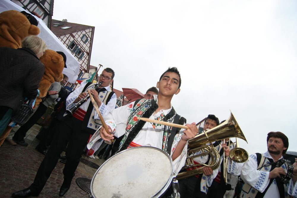 Landesfest Schwäbischer Albverein 2010