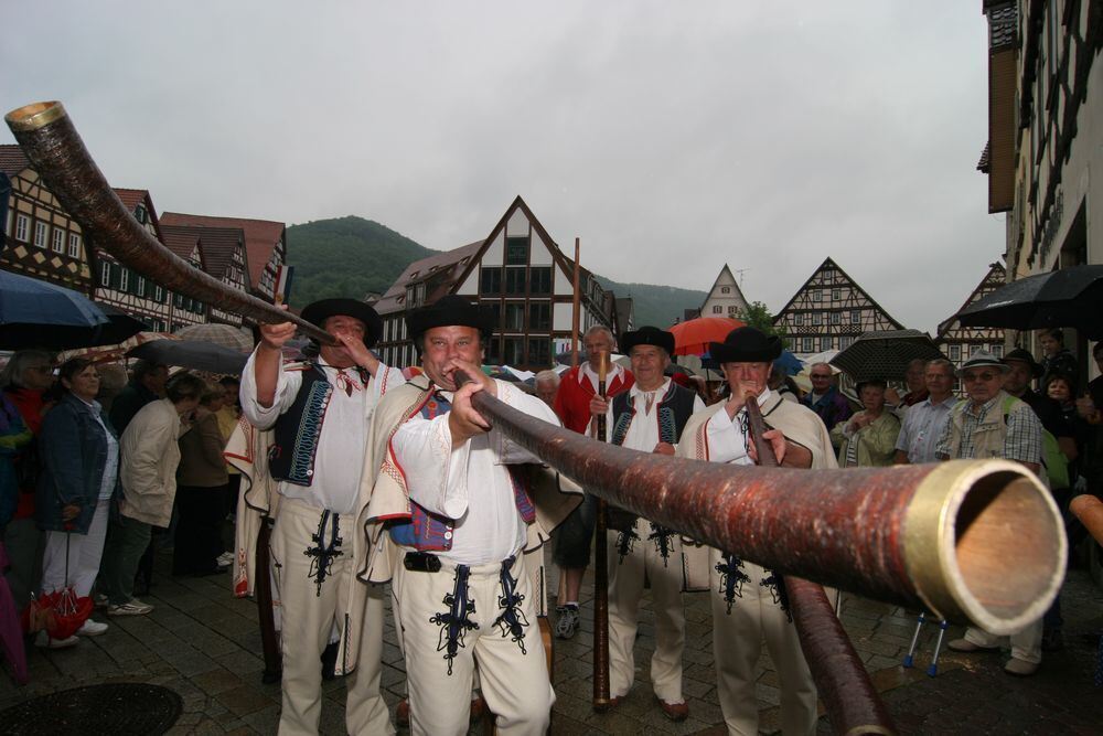 Landesfest Schwäbischer Albverein 2010