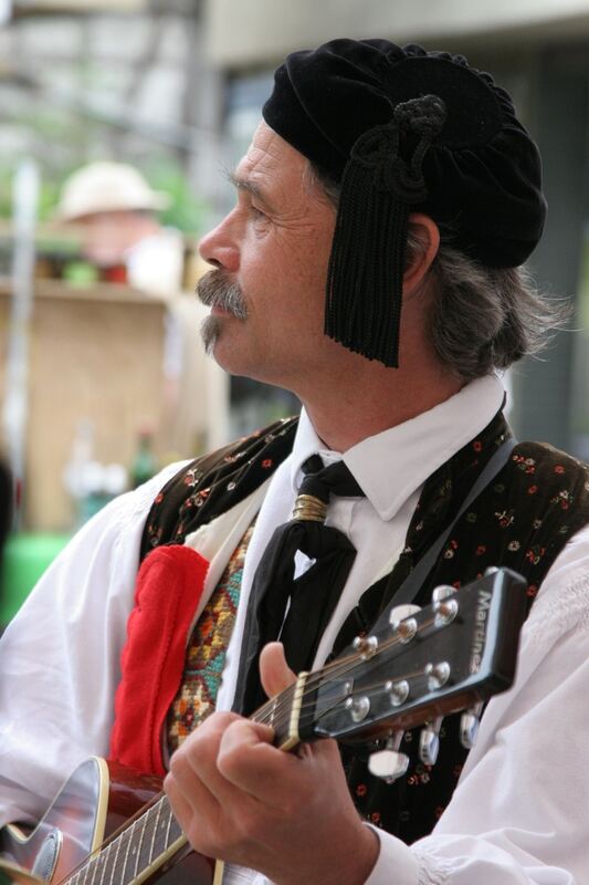 Landesfest Schwäbischer Albverein 2010