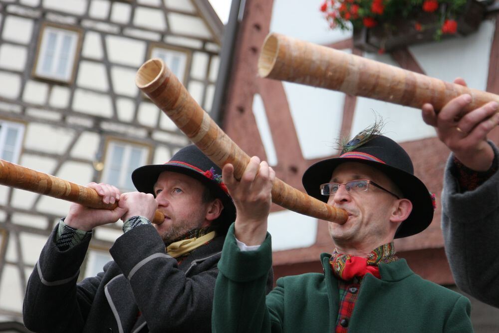 Landesfest Schwäbischer Albverein 2010