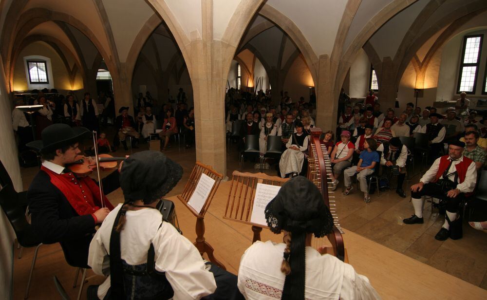 Landesfest Schwäbischer Albverein 2010