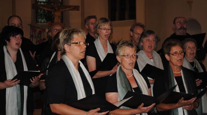 Präsentierten abwechslungsreiche Chorliteratur: die Sängerinnen und Sänger des Bezirks Steinlach-Härten-Wiesaz. FOTO: LINSENBOLZ