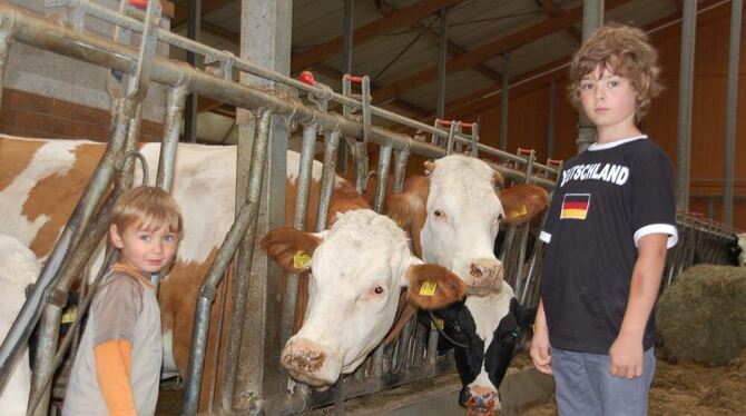 Johannes Klett (links) und sein Cousin Jonas kennen sich mit Kühen aus. GEA-FOTO: IST