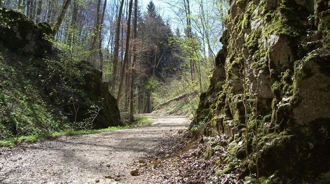 Mitten durch die Kernzone: Der Harassenweg bei Rietheim.