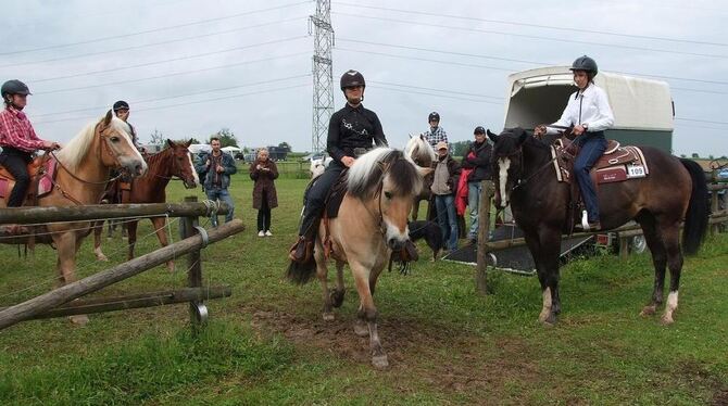 Gelassen, ruhig und mit gegenseitigem Vertrauen erfüllen Mensch und Pferd die Aufgaben beim Westernreiten. FOTO: SANDER