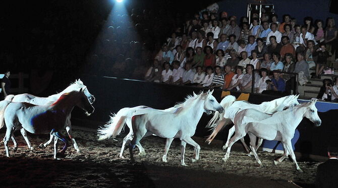 Marbach Classics 2010